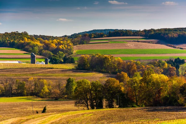 Frühherbstliche Farbe in den sanften Hügeln des ländlichen Kreises York, pe — Stockfoto