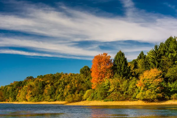 Early autumn color on the shore of Lake Marburg, in Codorus Stat — Stock Photo, Image