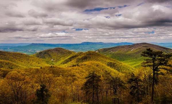 Vista de primavera das Montanhas Blue Ridge e Shenandoah Val — Fotografia de Stock