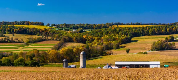 Brzy na podzim pohled na farmě a zvlněné kopce ve venkovských york země — Stock fotografie