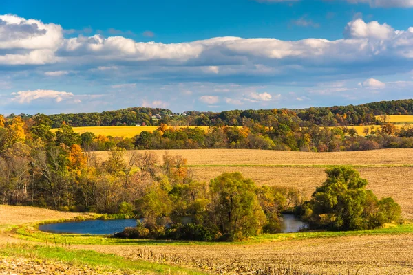 Early-autumn view of a pond in rural York County, Pennsylvania. — Stock Photo, Image