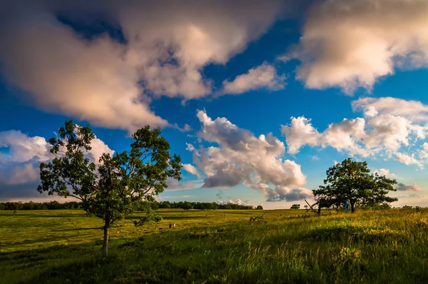 Abendwolken über Bäumen auf großen Wiesen, shenandoah national pa — Stockfoto