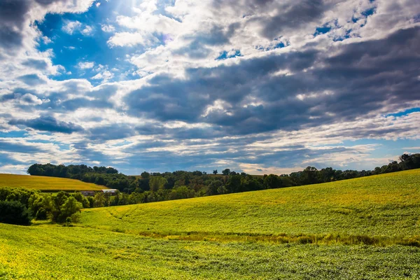 Avond lucht over boerderij velden en glooiende heuvels in de buurt van Derrybeg — Stockfoto