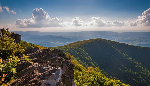 Abendblick von den Klippen auf dem Gipfel des Falkenschnabels, in shenandoah nati — Stockfoto