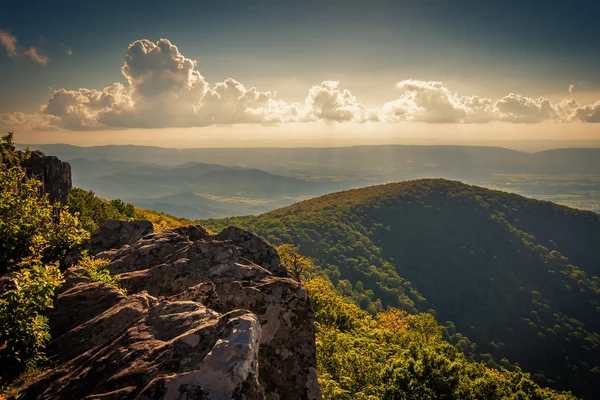 Evening view from cliffs on Hawksbill Summit, in Shenandoah Nati — Stock Photo, Image