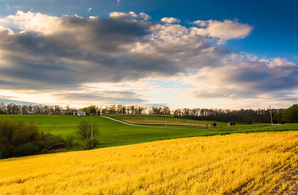 Weergave van boerderij velden en glooiende heuvels in rural york land avond — Stockfoto