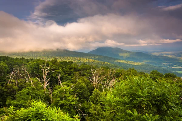 's avonds weergave van Piemonte van skyline drive in shenandoah natie — Stockfoto