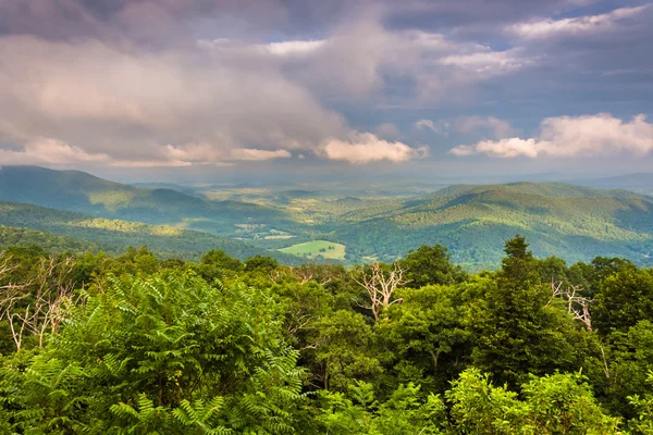 Vista noturna do Piemonte da Skyline Drive na Nação Shenandoah — Fotografia de Stock