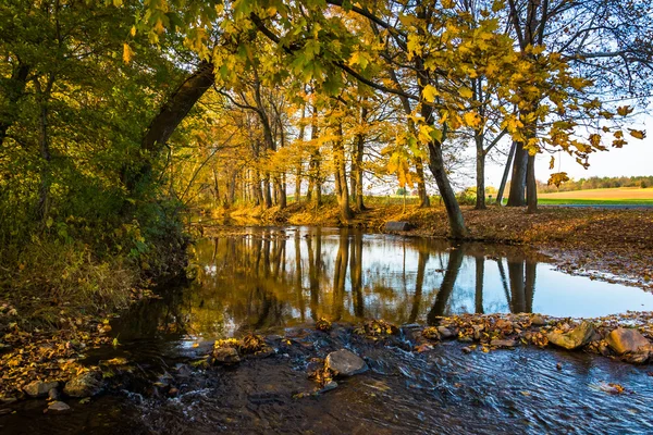 Fall reflections in a stream, in rural Frederick County, Marylan — Stock Photo, Image