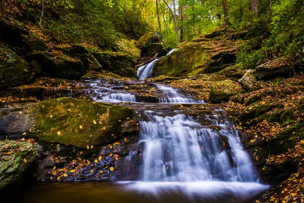 Fallen autumn leaves and a waterfall on Oakland Run in Holtwood, — Stock Photo, Image