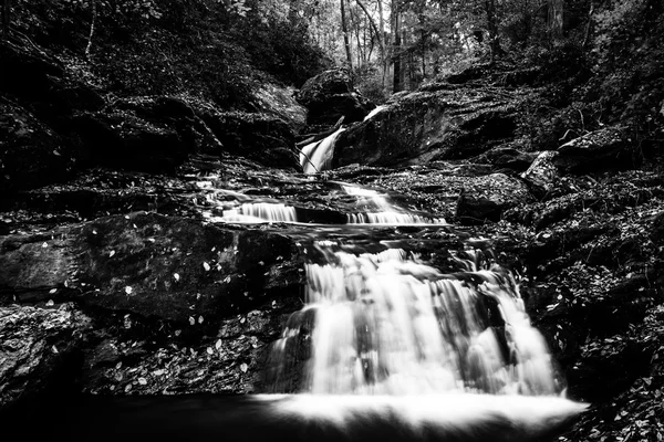 Fallna höstlöv och ett vattenfall på oakland körs i mina, — Stockfoto
