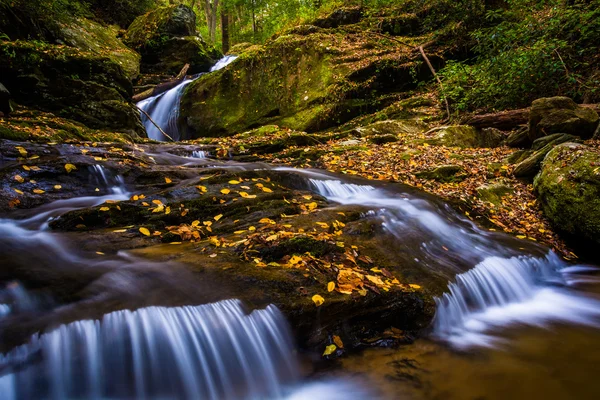 Fallen autumn leaves and a waterfall on Oakland Run in Holtwood, — Stock Photo, Image