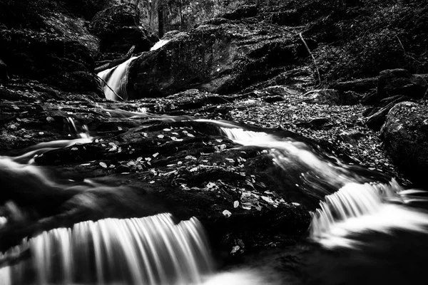 Fallen autumn leaves and a waterfall on Oakland Run in Holtwood, — Stock Photo, Image