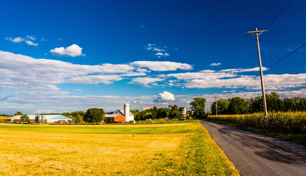 Fattoria lungo una strada di campagna nella contea rurale di York, Pennsylvania . — Foto Stock