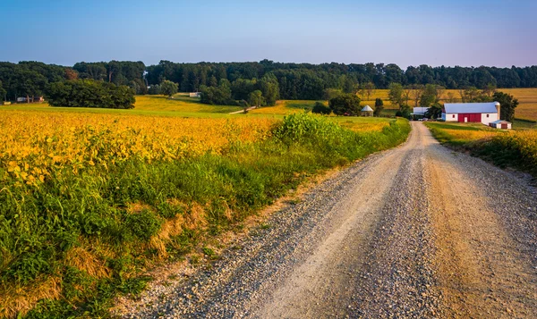 Granja a lo largo de un camino de tierra en el condado rural de York, Pennsylvania . —  Fotos de Stock