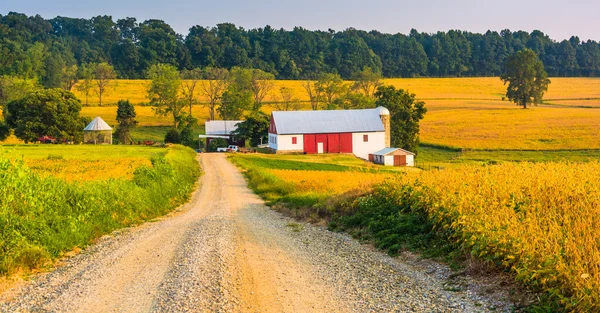 Farm mentén egy földút, a vidéki york megyében, Pennsylvaniában. — Stock Fotó