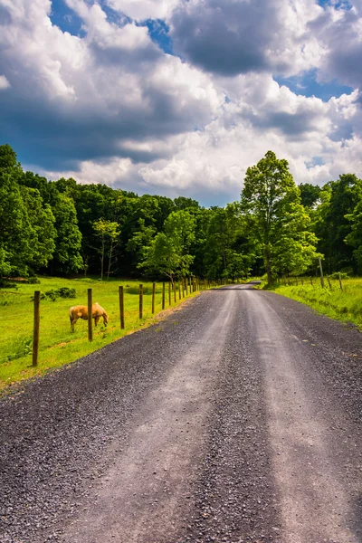 Farm field along a dirt road in the rural Potomac Highlands of W — Stock Photo, Image