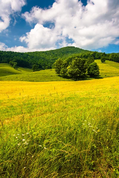 Farm field and mountain in the rural Potomac Highlands of West V — Stock Photo, Image