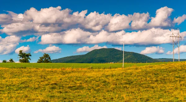 Gospodarstwa, pola i widok z blue ridge mountains w shenandoa — Zdjęcie stockowe