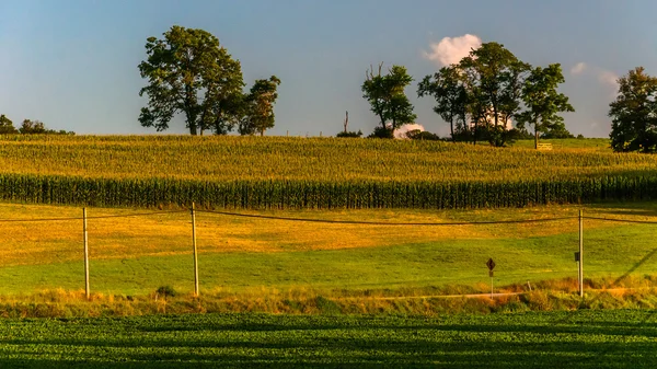 Boerderij velden langs een landweg in york county, pennsylvania. — Stockfoto