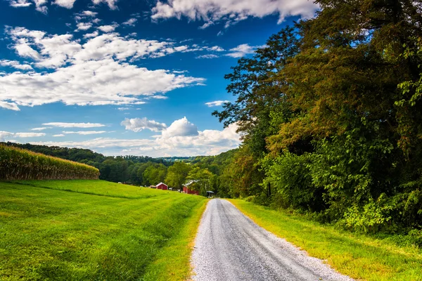 Felder an einer Landstraße in der Nähe von Kreuzungen, Pennsylvania. — Stockfoto