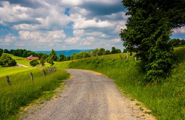 Felder entlang einer Feldstraße im ländlichen Potomac-Hochland von — Stockfoto