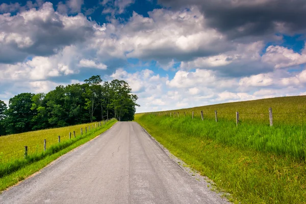 Farm fields along a road in the rural Potomac Highlands of West — Stock Photo, Image