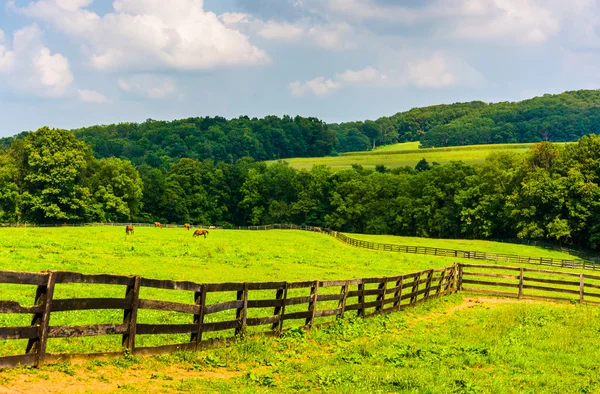 Boerderij velden en glooiende heuvels in rural york county, pennsylvania — Stockfoto