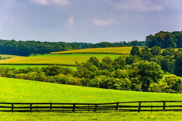 Farm fields and rolling hills in rural York County, Pennsylvania — Stock Photo, Image