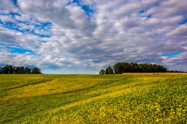 Campi agricoli e dolci colline vicino Stewartstown, Pennsylvania . — Foto Stock