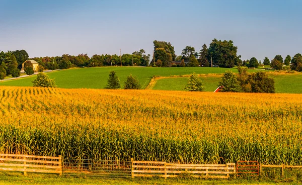 Gospodarstwo pola i rollings wzgórza w wiejskich york county, pennsylvani — Zdjęcie stockowe