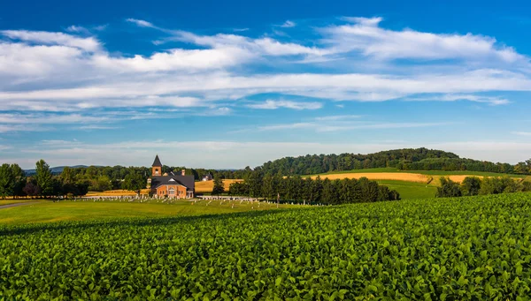 Campos agrícolas e vista de uma igreja no condado rural de York, Pensilva — Fotografia de Stock