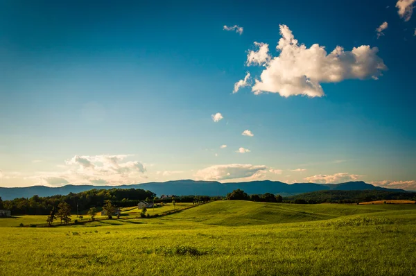 Campos agrícolas y vista de la montaña Massanutten, en la Shenandoah — Foto de Stock