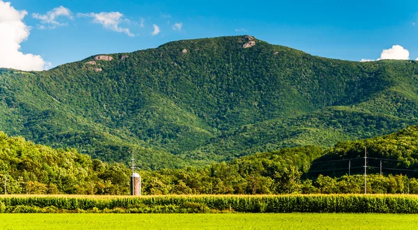 Boerderij velden en weergave van de blue ridge mountains in de shenando — Stockfoto