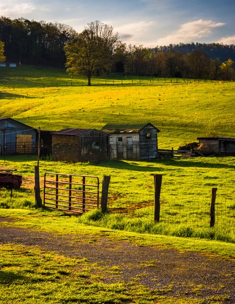 Fazenda no Vale do Shenandoah, Virgínia . — Fotografia de Stock