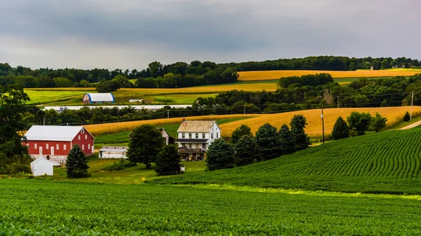 Bauernhof in den sanften Hügeln des ländlichen Kreises York, Pennsylvania. — Stockfoto