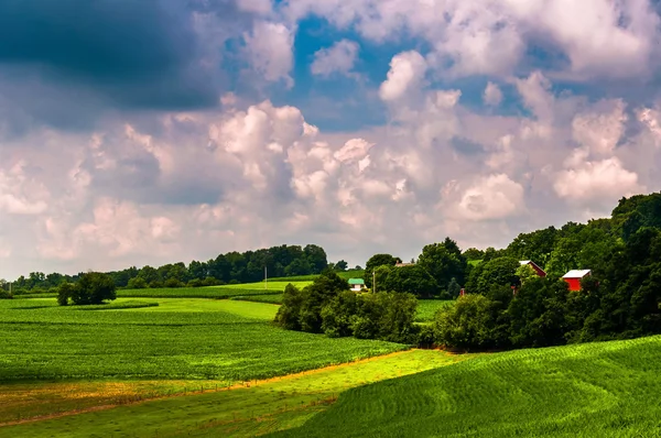 Azienda agricola nella campagna rurale della contea di Southern York, PA . — Foto Stock