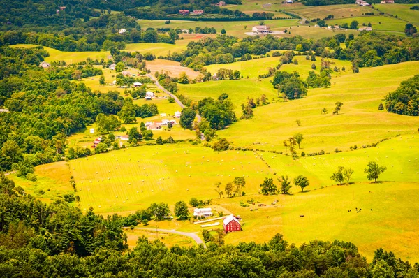 Granjas en el valle de Shenandoah, vistas desde Skyline Drive en Shena — Foto de Stock