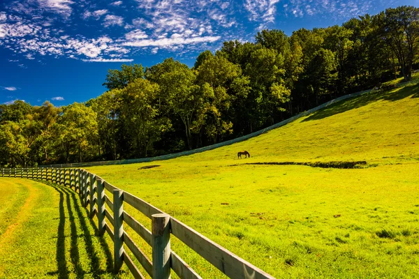 Cerca e belo campo de fazenda no Condado de York, Pensilvânia . — Fotografia de Stock