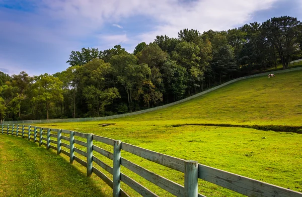 Hek en boerderij veld in rural york county, pennsylvania. — Stockfoto