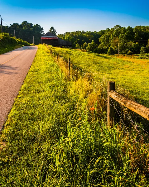 Clôture et herbes le long de la route de campagne dans le sud du comté de York, Pe — Photo