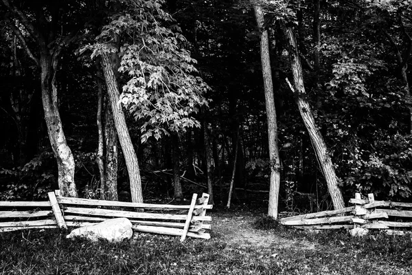 Fence at Pass Mountain Overlook, in Shenandoah National Park, Vi — Stock Photo, Image