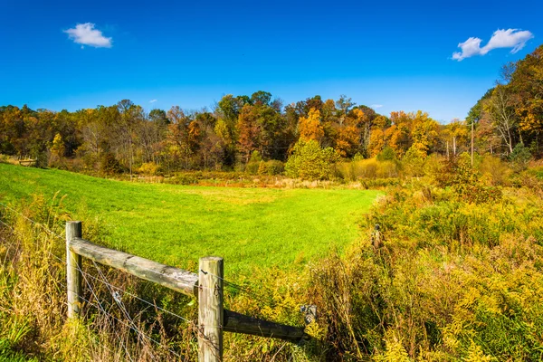 Fence in a field, in rural York County, Pennsylvania. — Stock Photo, Image