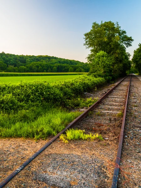 Fält längs järnvägsspåren i york county, pennsylvania. — Stockfoto