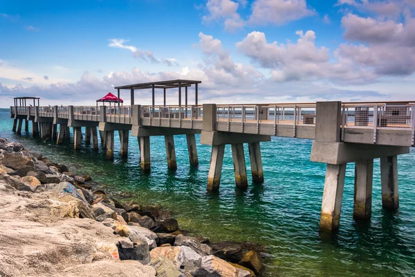 Anlegesteg und Fischersteg im South Point Park, Miami Beach, Flora — Stockfoto