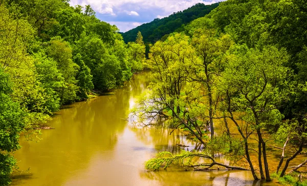 Flooding at Loch Raven Reservoir in Baltimore, Maryland. — Stock Photo, Image