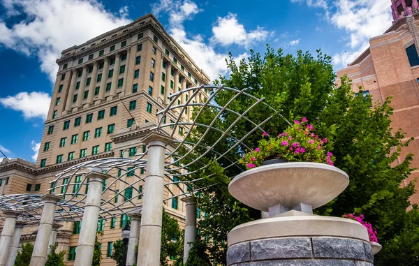 Flowers and Buncombe County Courthouse, in Asheville, North Caro — Stock Photo, Image