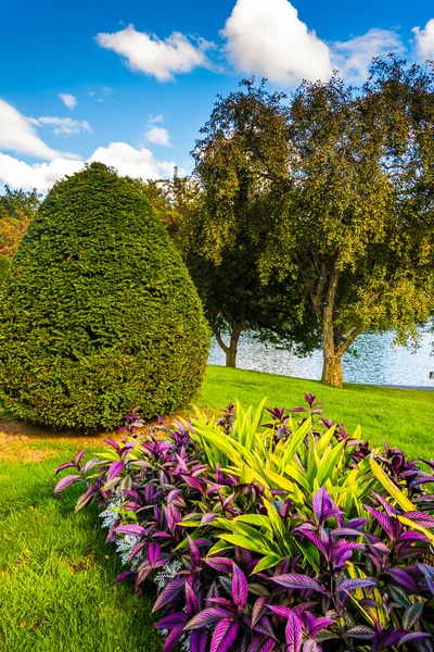 Fleurs et arbres au Public Garden de Boston, Massachusetts . — Photo