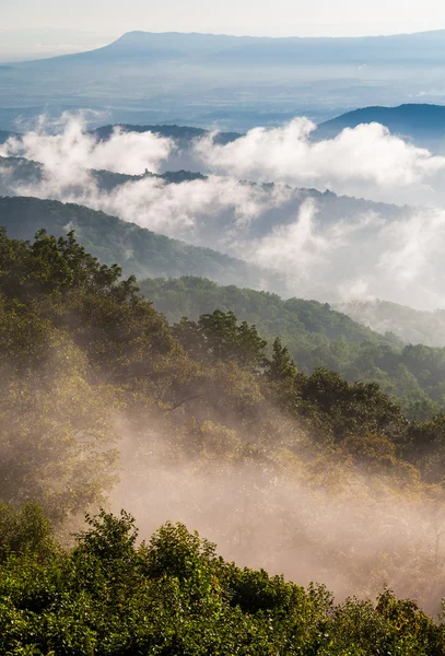 Nevoeiro e nuvens baixas sair da Blue Ridge depois de um verão th — Fotografia de Stock