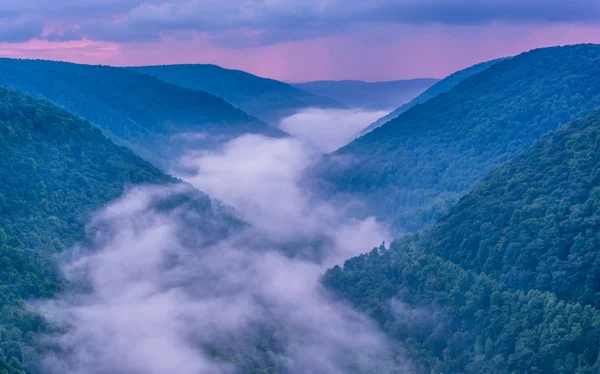 Nebbia nel Blackwater Canyon al tramonto, vista da Lindy Point, B — Foto Stock